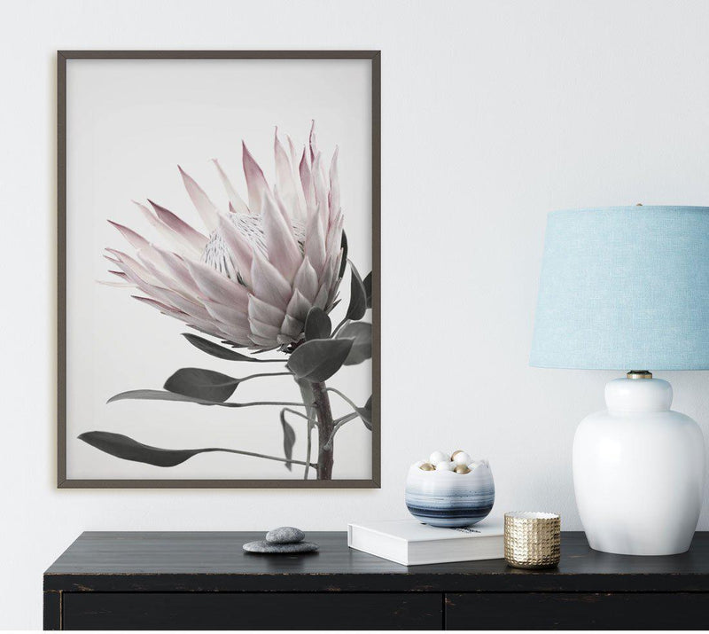 Protea Lumiere Art Print-PRINT-Olive et Oriel-Olive et Oriel-Buy-Australian-Art-Prints-Online-with-Olive-et-Oriel-Your-Artwork-Specialists-Austrailia-Decorate-With-Coastal-Photo-Wall-Art-Prints-From-Our-Beach-House-Artwork-Collection-Fine-Poster-and-Framed-Artwork