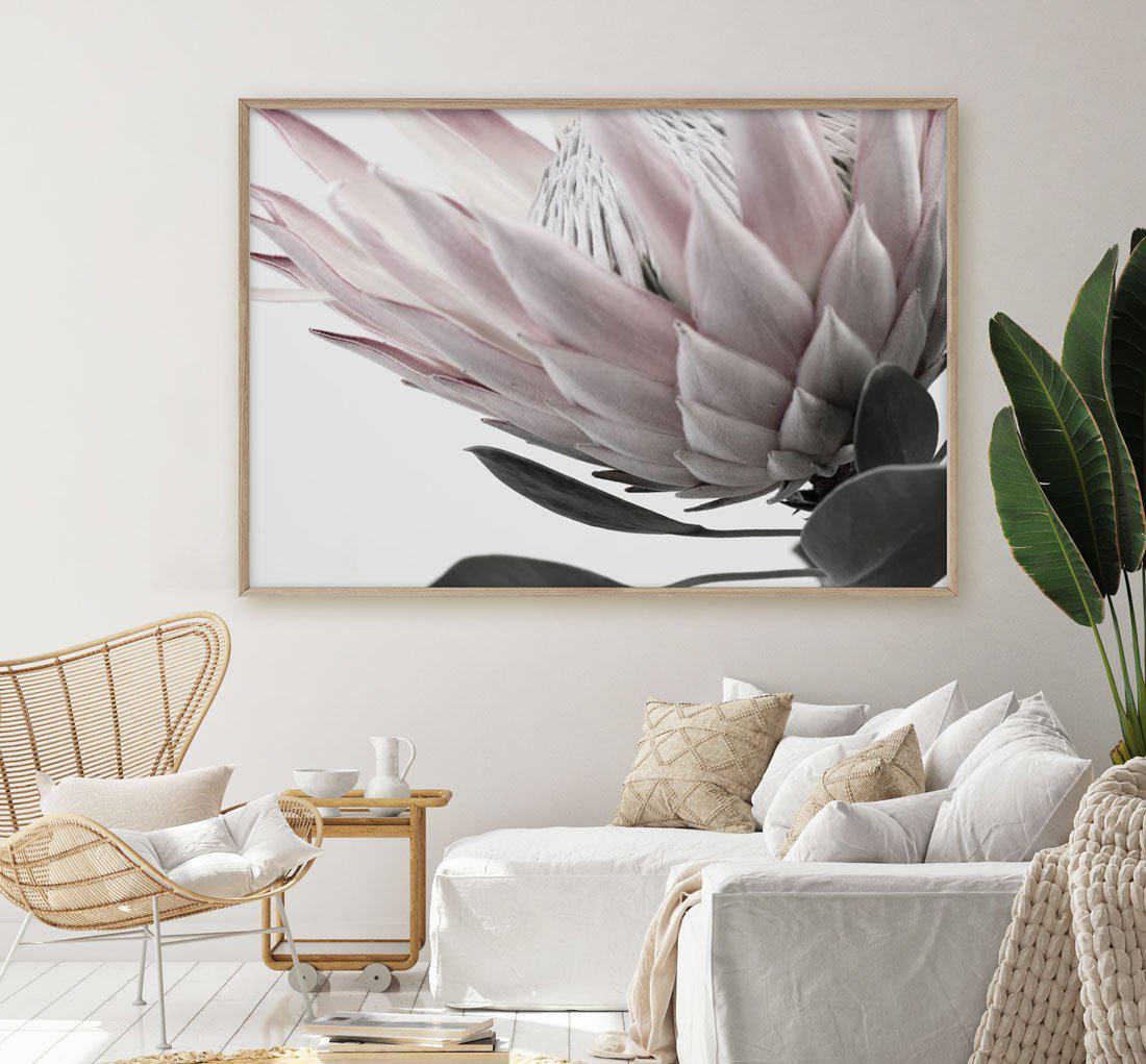 Protea Lumiere LS - Olive et Oriel