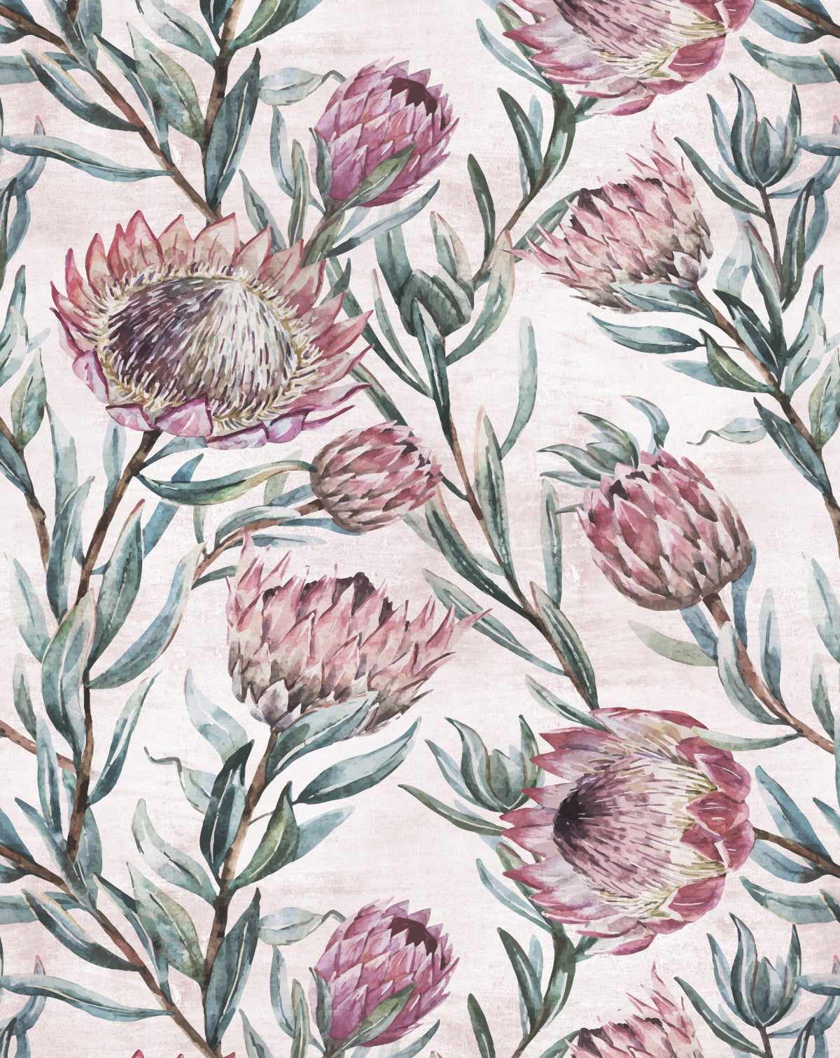 Protea on Blush Wallpaper - Olive et Oriel