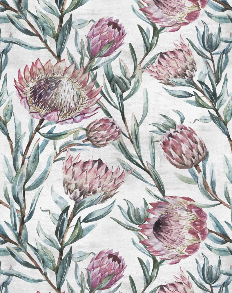 Protea on Grey Wallpaper - Olive et Oriel