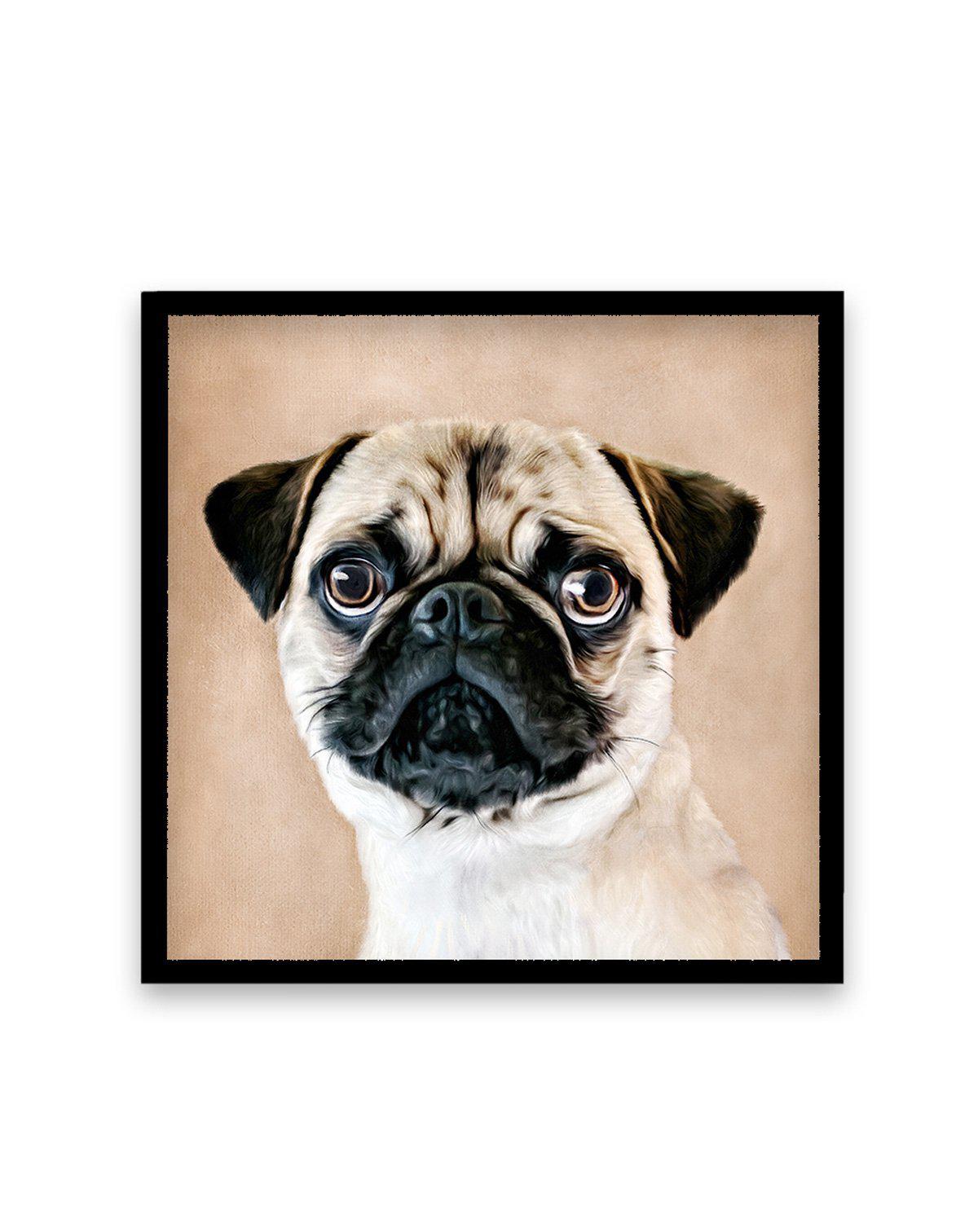 Pug | SQ Art Print-PRINT-Olive et Oriel-Olive et Oriel-70x70 cm | 27.5" x 27.5"-Black-With White Border-Buy-Australian-Art-Prints-Online-with-Olive-et-Oriel-Your-Artwork-Specialists-Austrailia-Decorate-With-Coastal-Photo-Wall-Art-Prints-From-Our-Beach-House-Artwork-Collection-Fine-Poster-and-Framed-Artwork