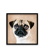 Pug | SQ Art Print-PRINT-Olive et Oriel-Olive et Oriel-70x70 cm | 27.5" x 27.5"-Black-With White Border-Buy-Australian-Art-Prints-Online-with-Olive-et-Oriel-Your-Artwork-Specialists-Austrailia-Decorate-With-Coastal-Photo-Wall-Art-Prints-From-Our-Beach-House-Artwork-Collection-Fine-Poster-and-Framed-Artwork