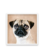 Pug | SQ Art Print-PRINT-Olive et Oriel-Olive et Oriel-70x70 cm | 27.5" x 27.5"-White-With White Border-Buy-Australian-Art-Prints-Online-with-Olive-et-Oriel-Your-Artwork-Specialists-Austrailia-Decorate-With-Coastal-Photo-Wall-Art-Prints-From-Our-Beach-House-Artwork-Collection-Fine-Poster-and-Framed-Artwork