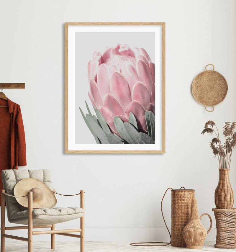 Queen Protea Art Print-PRINT-Olive et Oriel-Olive et Oriel-Buy-Australian-Art-Prints-Online-with-Olive-et-Oriel-Your-Artwork-Specialists-Austrailia-Decorate-With-Coastal-Photo-Wall-Art-Prints-From-Our-Beach-House-Artwork-Collection-Fine-Poster-and-Framed-Artwork