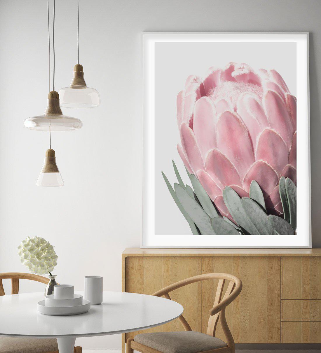 Queen Protea Art Print-PRINT-Olive et Oriel-Olive et Oriel-Buy-Australian-Art-Prints-Online-with-Olive-et-Oriel-Your-Artwork-Specialists-Austrailia-Decorate-With-Coastal-Photo-Wall-Art-Prints-From-Our-Beach-House-Artwork-Collection-Fine-Poster-and-Framed-Artwork