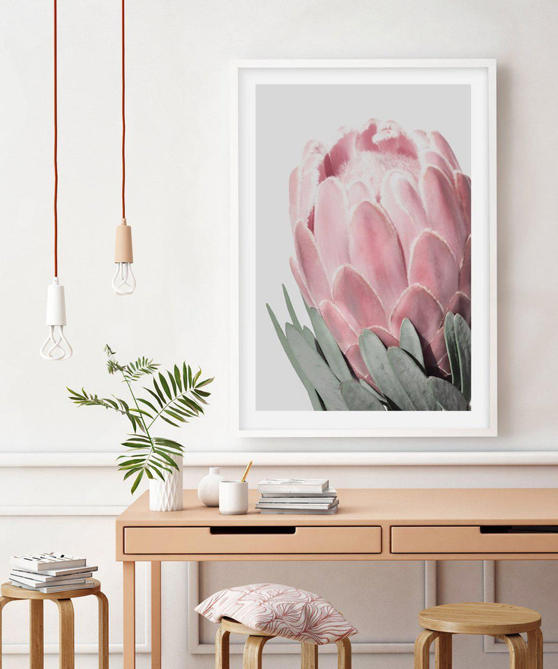 Queen Protea Art Print-PRINT-Olive et Oriel-Olive et Oriel-Buy-Australian-Art-Prints-Online-with-Olive-et-Oriel-Your-Artwork-Specialists-Austrailia-Decorate-With-Coastal-Photo-Wall-Art-Prints-From-Our-Beach-House-Artwork-Collection-Fine-Poster-and-Framed-Artwork