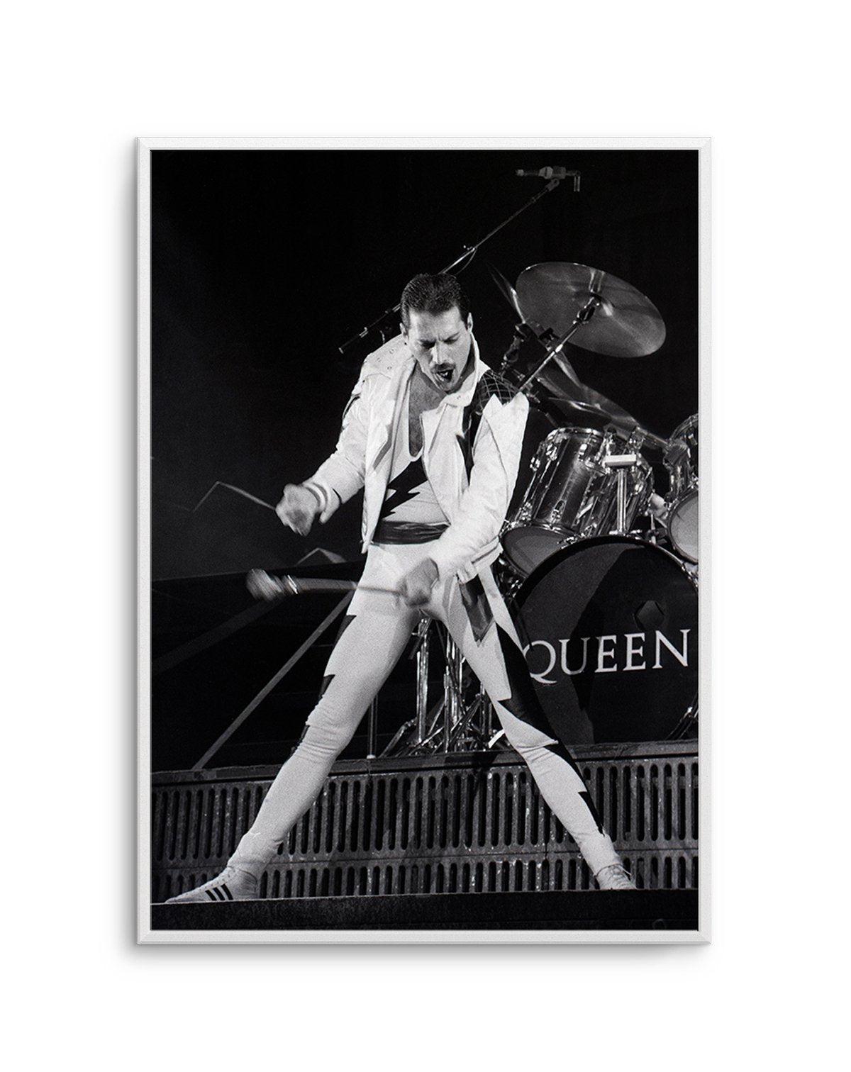 Queen | Tony Mott Collection Art Print-PRINT-Olive et Oriel-Olive et Oriel-A5 | 5.8" x 8.3" | 14.8 x 21cm-Unframed Art Print-With White Border-Buy-Australian-Art-Prints-Online-with-Olive-et-Oriel-Your-Artwork-Specialists-Austrailia-Decorate-With-Coastal-Photo-Wall-Art-Prints-From-Our-Beach-House-Artwork-Collection-Fine-Poster-and-Framed-Artwork