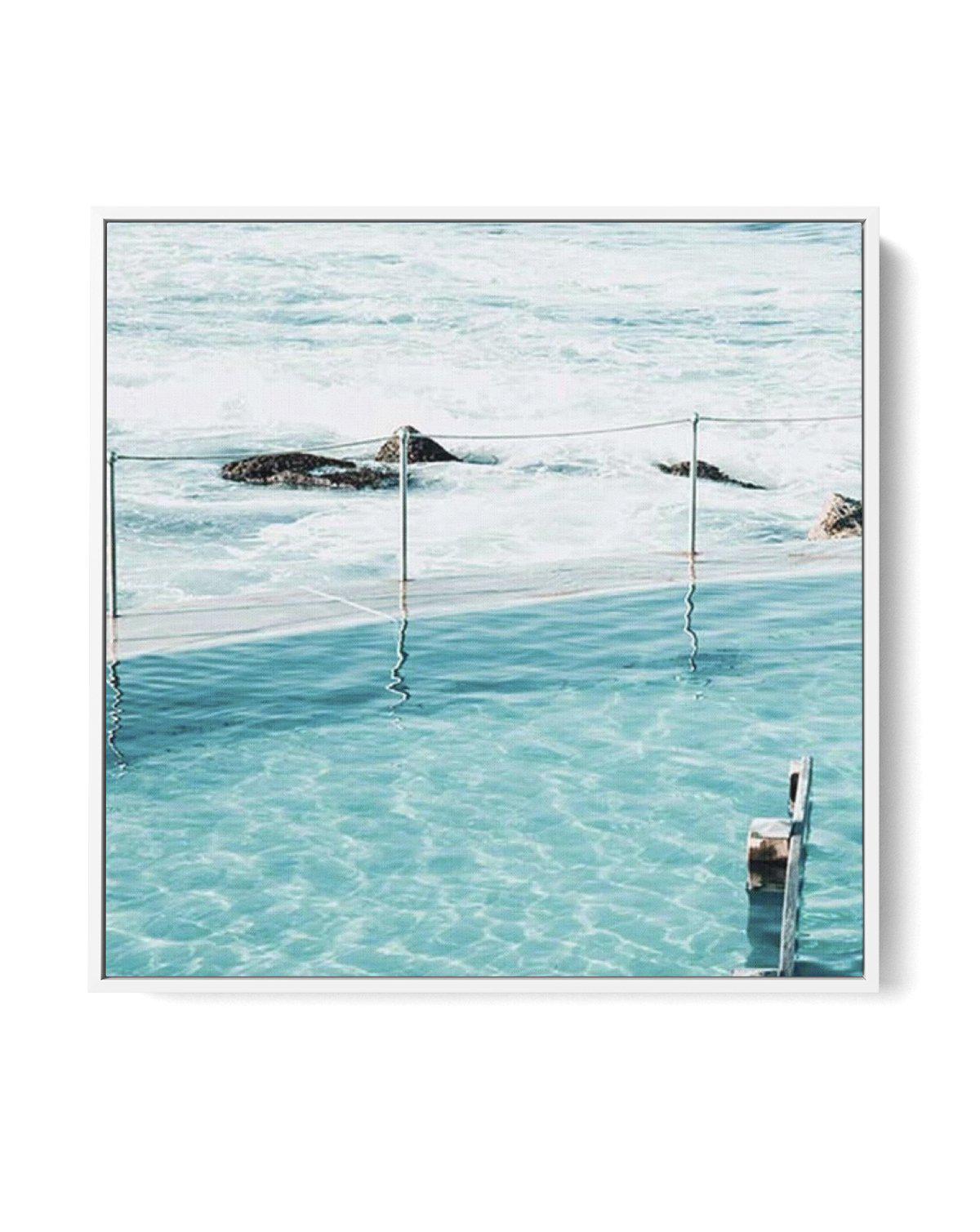 Quick Swim Bronte SQ | Framed Canvas-CANVAS-You can shop wall art online with Olive et Oriel for everything from abstract art to fun kids wall art. Our beautiful modern art prints and canvas art are available from large canvas prints to wall art paintings and our proudly Australian artwork collection offers only the highest quality framed large wall art and canvas art Australia - You can buy fashion photography prints or Hampton print posters and paintings on canvas from Olive et Oriel and have 