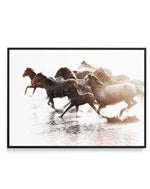 Riviere Stallions | Framed Canvas-CANVAS-You can shop wall art online with Olive et Oriel for everything from abstract art to fun kids wall art. Our beautiful modern art prints and canvas art are available from large canvas prints to wall art paintings and our proudly Australian artwork collection offers only the highest quality framed large wall art and canvas art Australia - You can buy fashion photography prints or Hampton print posters and paintings on canvas from Olive et Oriel and have the