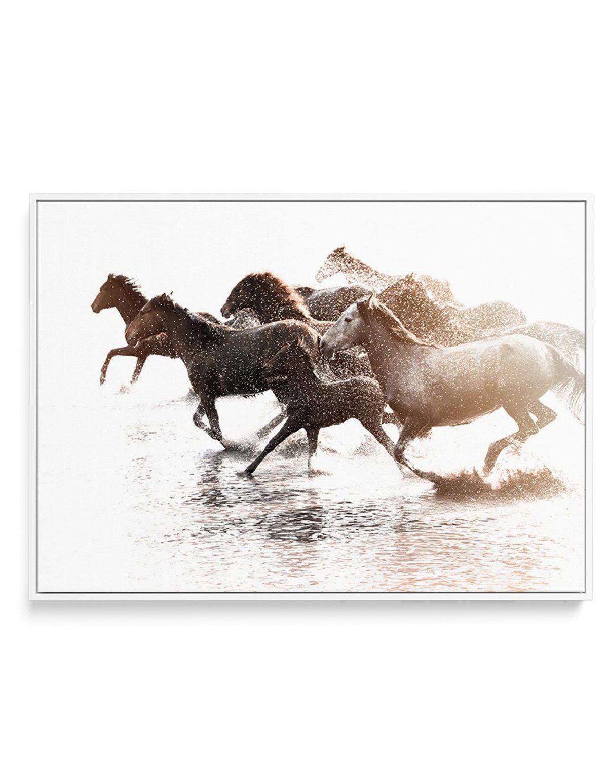 Riviere Stallions | Framed Canvas-CANVAS-You can shop wall art online with Olive et Oriel for everything from abstract art to fun kids wall art. Our beautiful modern art prints and canvas art are available from large canvas prints to wall art paintings and our proudly Australian artwork collection offers only the highest quality framed large wall art and canvas art Australia - You can buy fashion photography prints or Hampton print posters and paintings on canvas from Olive et Oriel and have the