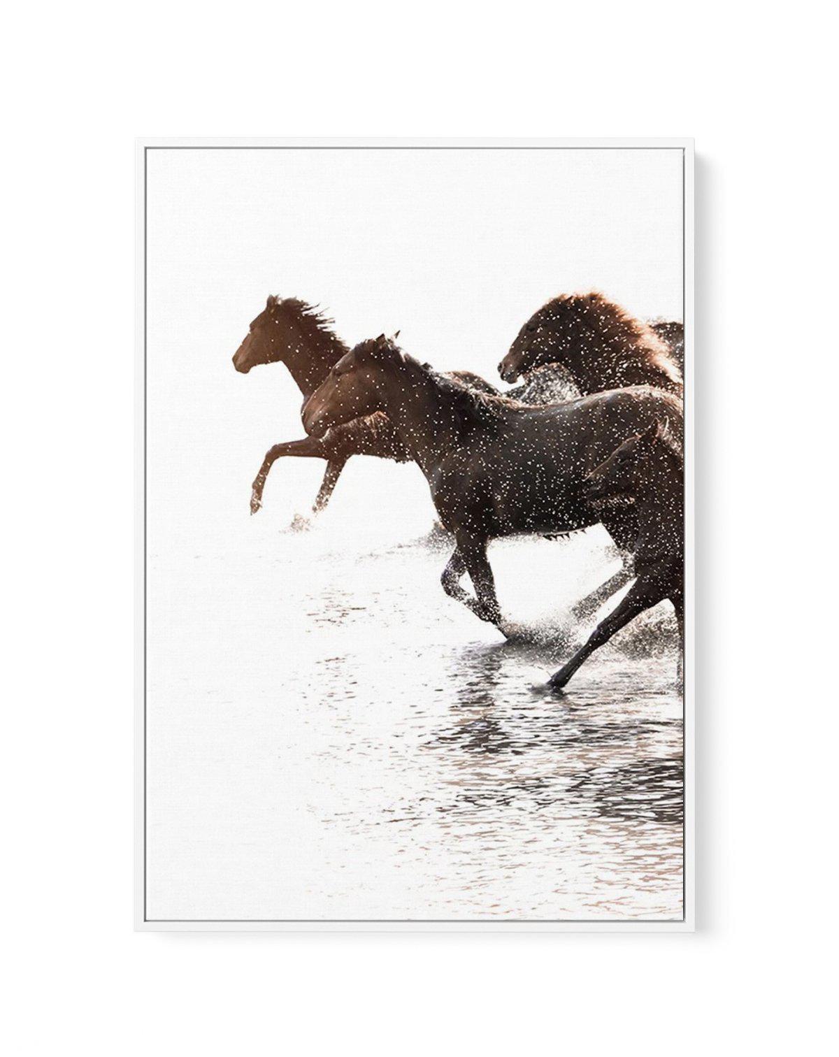 Riviere Stallions | Left | Framed Canvas-CANVAS-You can shop wall art online with Olive et Oriel for everything from abstract art to fun kids wall art. Our beautiful modern art prints and canvas art are available from large canvas prints to wall art paintings and our proudly Australian artwork collection offers only the highest quality framed large wall art and canvas art Australia - You can buy fashion photography prints or Hampton print posters and paintings on canvas from Olive et Oriel and h