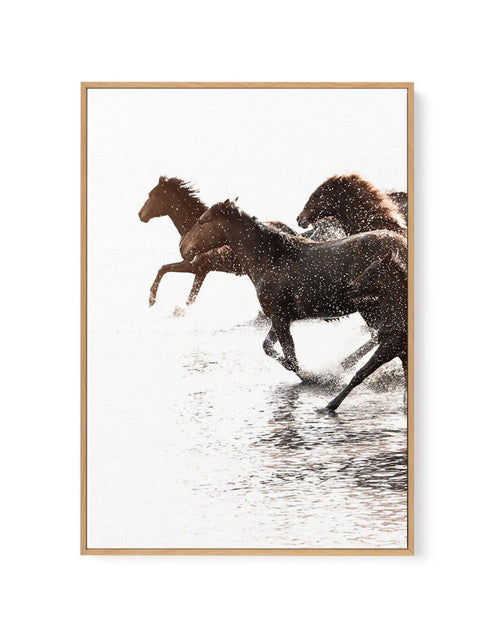 Riviere Stallions | Left | Framed Canvas-CANVAS-You can shop wall art online with Olive et Oriel for everything from abstract art to fun kids wall art. Our beautiful modern art prints and canvas art are available from large canvas prints to wall art paintings and our proudly Australian artwork collection offers only the highest quality framed large wall art and canvas art Australia - You can buy fashion photography prints or Hampton print posters and paintings on canvas from Olive et Oriel and h