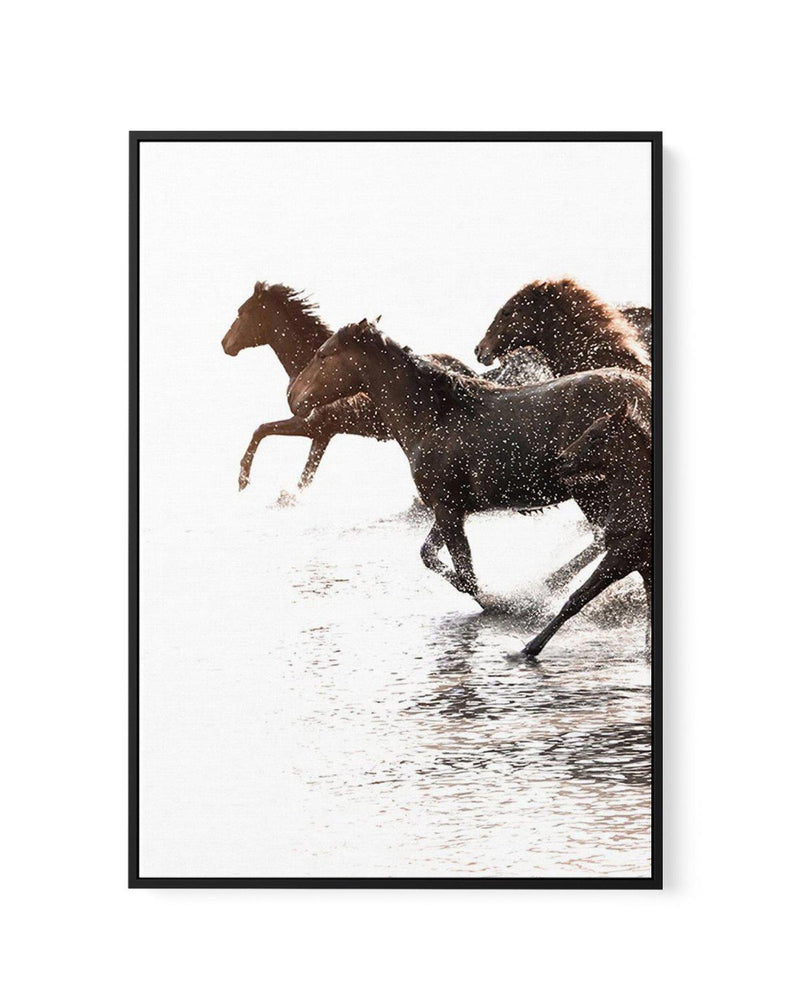 Riviere Stallions | Left | Framed Canvas-CANVAS-You can shop wall art online with Olive et Oriel for everything from abstract art to fun kids wall art. Our beautiful modern art prints and canvas art are available from large canvas prints to wall art paintings and our proudly Australian artwork collection offers only the highest quality framed large wall art and canvas art Australia - You can buy fashion photography prints or Hampton print posters and paintings on canvas from Olive et Oriel and h