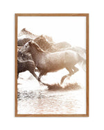 Riviere Stallions | Right - Olive et Oriel