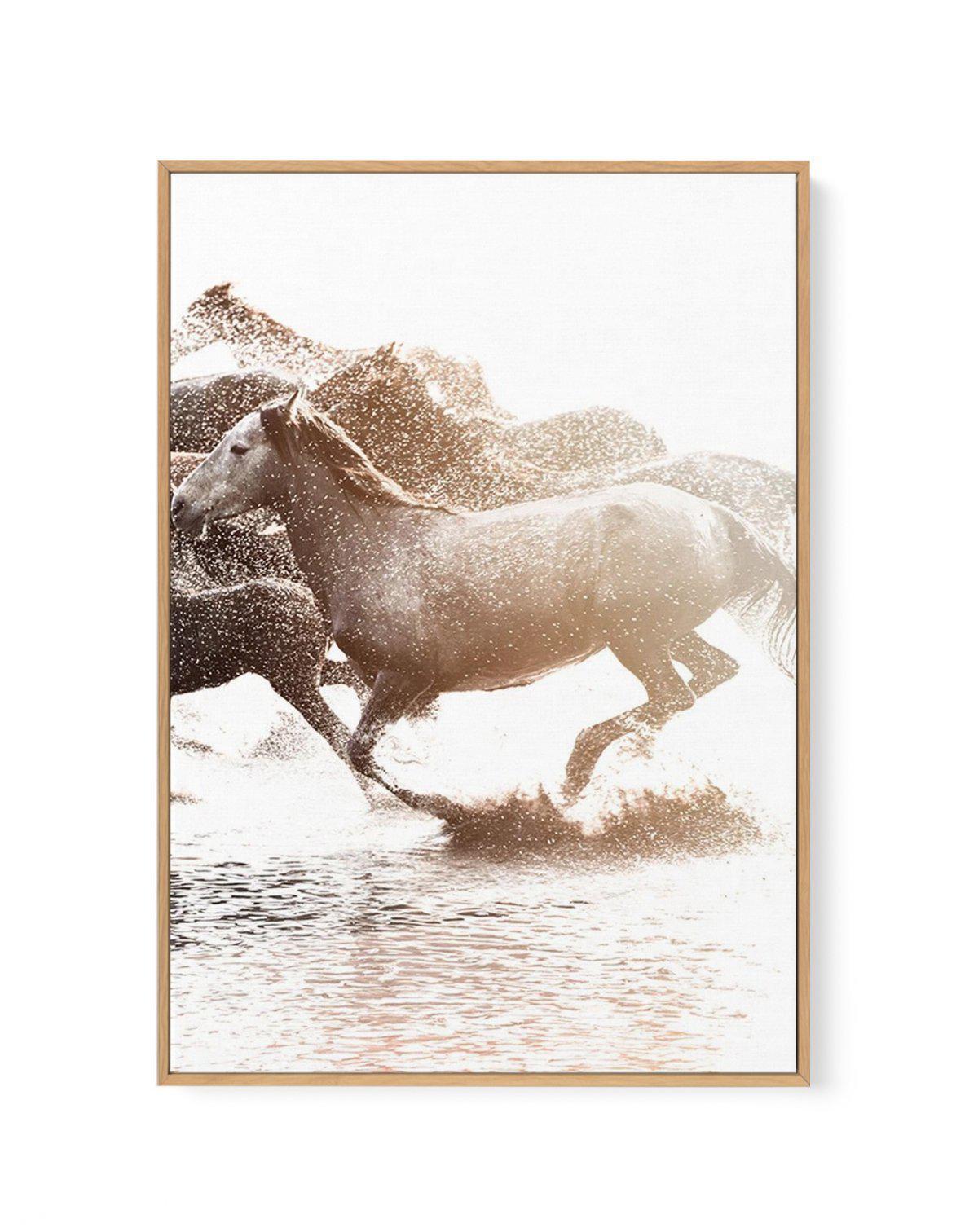 Riviere Stallions | Right | Framed Canvas-CANVAS-You can shop wall art online with Olive et Oriel for everything from abstract art to fun kids wall art. Our beautiful modern art prints and canvas art are available from large canvas prints to wall art paintings and our proudly Australian artwork collection offers only the highest quality framed large wall art and canvas art Australia - You can buy fashion photography prints or Hampton print posters and paintings on canvas from Olive et Oriel and 