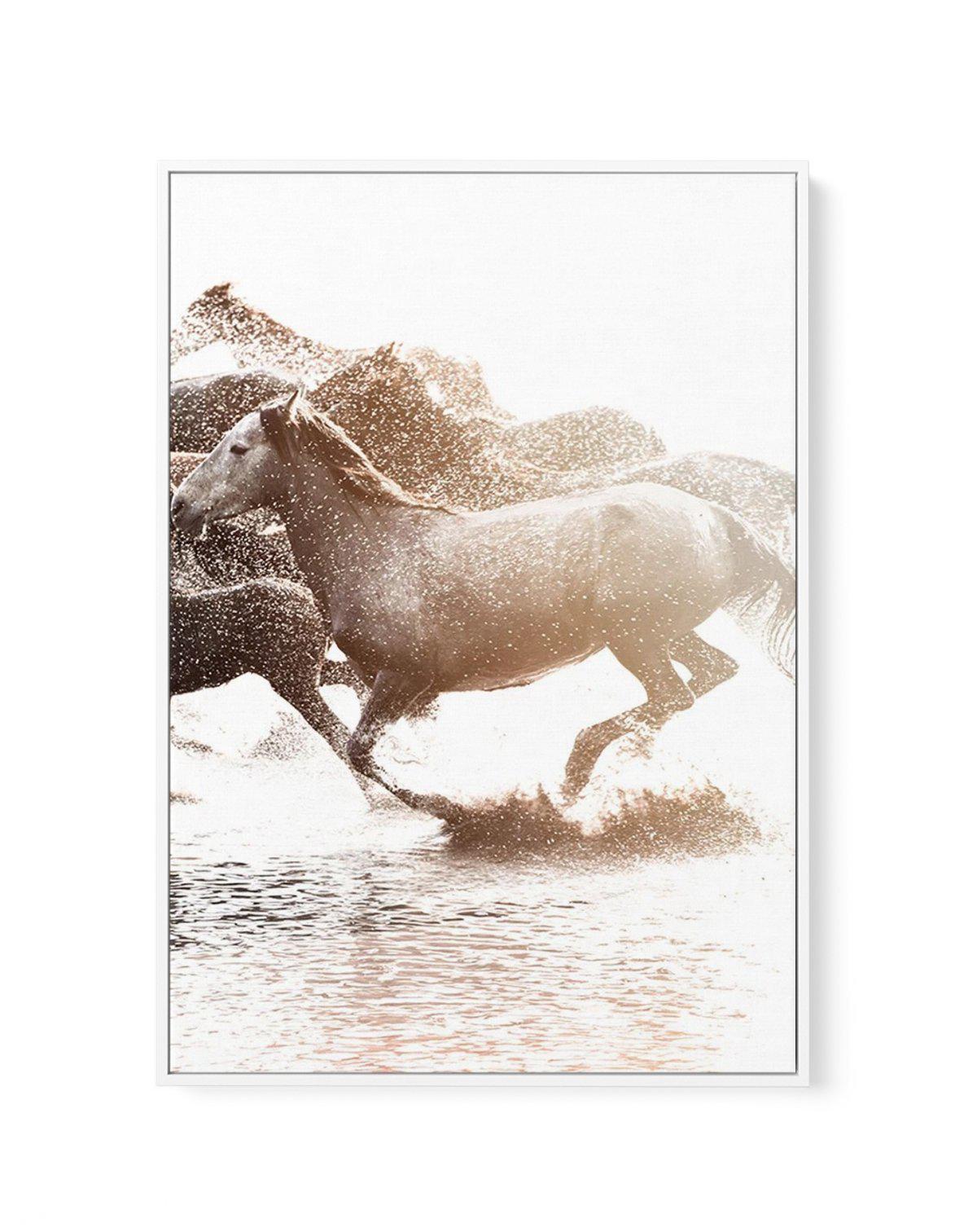 Riviere Stallions | Right | Framed Canvas-CANVAS-You can shop wall art online with Olive et Oriel for everything from abstract art to fun kids wall art. Our beautiful modern art prints and canvas art are available from large canvas prints to wall art paintings and our proudly Australian artwork collection offers only the highest quality framed large wall art and canvas art Australia - You can buy fashion photography prints or Hampton print posters and paintings on canvas from Olive et Oriel and 