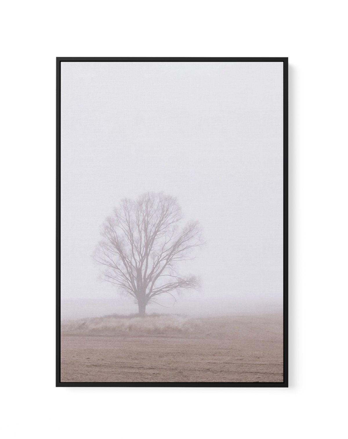 Rolling Mist | Framed Canvas-CANVAS-You can shop wall art online with Olive et Oriel for everything from abstract art to fun kids wall art. Our beautiful modern art prints and canvas art are available from large canvas prints to wall art paintings and our proudly Australian artwork collection offers only the highest quality framed large wall art and canvas art Australia - You can buy fashion photography prints or Hampton print posters and paintings on canvas from Olive et Oriel and have them del