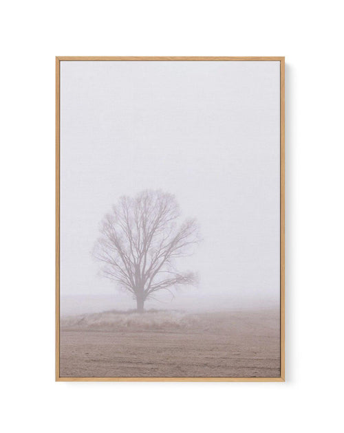 Rolling Mist | Framed Canvas-CANVAS-You can shop wall art online with Olive et Oriel for everything from abstract art to fun kids wall art. Our beautiful modern art prints and canvas art are available from large canvas prints to wall art paintings and our proudly Australian artwork collection offers only the highest quality framed large wall art and canvas art Australia - You can buy fashion photography prints or Hampton print posters and paintings on canvas from Olive et Oriel and have them del