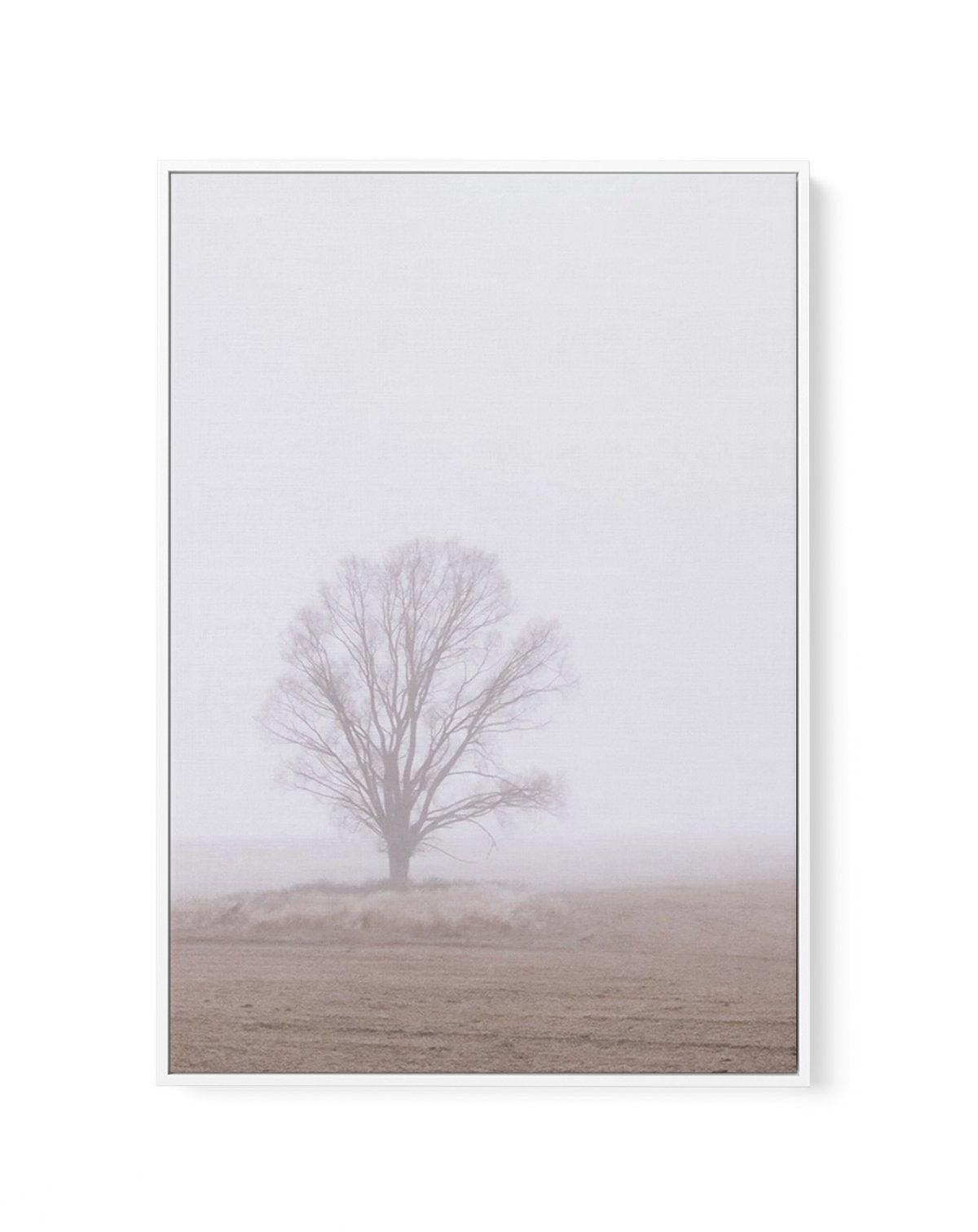 Rolling Mist | Framed Canvas-CANVAS-You can shop wall art online with Olive et Oriel for everything from abstract art to fun kids wall art. Our beautiful modern art prints and canvas art are available from large canvas prints to wall art paintings and our proudly Australian artwork collection offers only the highest quality framed large wall art and canvas art Australia - You can buy fashion photography prints or Hampton print posters and paintings on canvas from Olive et Oriel and have them del