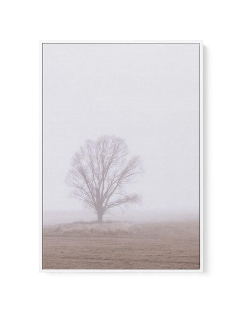 Rolling Mist | Framed Canvas-CANVAS-You can shop wall art online with Olive et Oriel for everything from abstract art to fun kids wall art. Our beautiful modern art prints and canvas art are available from large canvas prints to wall art paintings and our proudly Australian artwork collection offers only the highest quality framed large wall art and canvas art Australia - You can buy fashion photography prints or Hampton print posters and paintings on canvas from Olive et Oriel and have them del