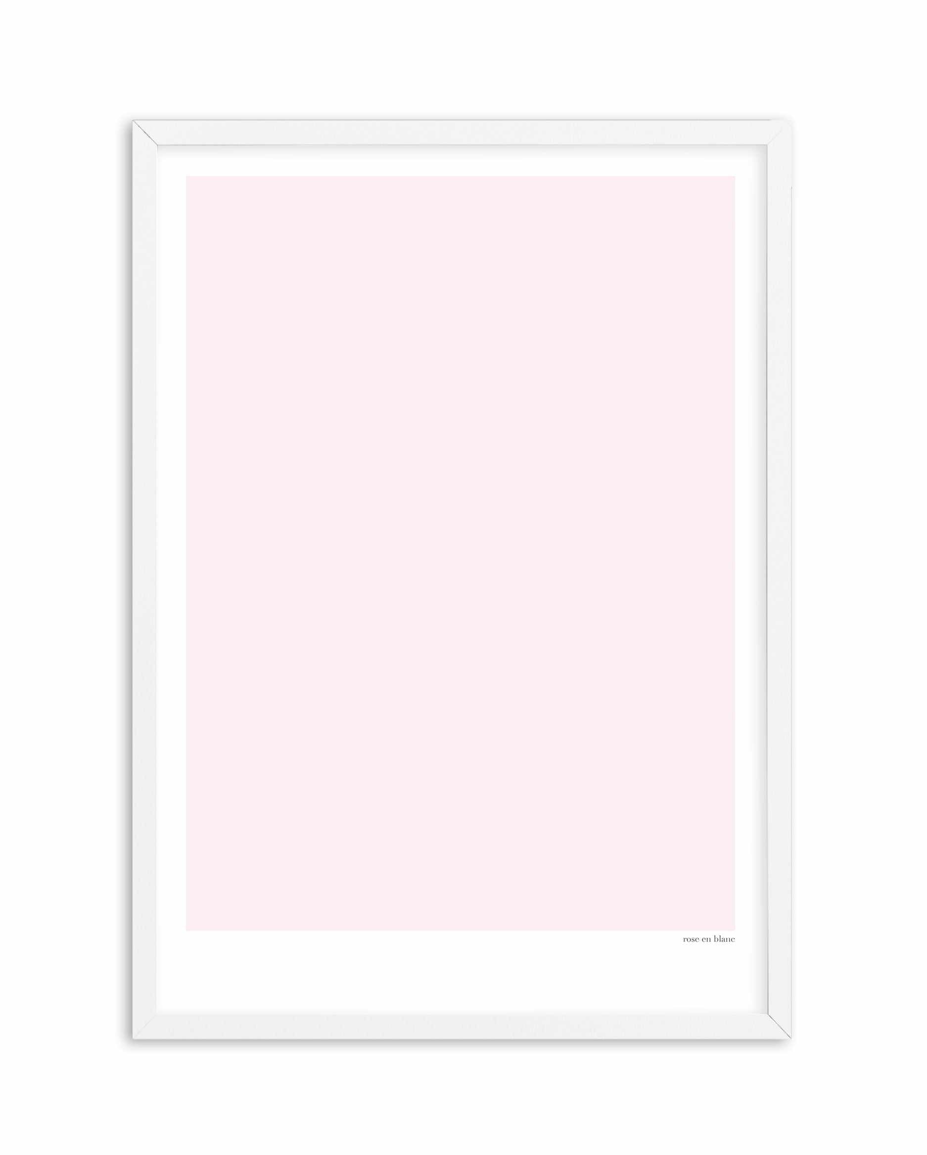 Rose en Blanc Art Print-PRINT-Olive et Oriel-Olive et Oriel-A5 | 5.8" x 8.3" | 14.8 x 21cm-White-With White Border-Buy-Australian-Art-Prints-Online-with-Olive-et-Oriel-Your-Artwork-Specialists-Austrailia-Decorate-With-Coastal-Photo-Wall-Art-Prints-From-Our-Beach-House-Artwork-Collection-Fine-Poster-and-Framed-Artwork