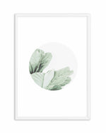 Round Fig Art Print-PRINT-Olive et Oriel-Olive et Oriel-A4 | 8.3" x 11.7" | 21 x 29.7cm-White-With White Border-Buy-Australian-Art-Prints-Online-with-Olive-et-Oriel-Your-Artwork-Specialists-Austrailia-Decorate-With-Coastal-Photo-Wall-Art-Prints-From-Our-Beach-House-Artwork-Collection-Fine-Poster-and-Framed-Artwork