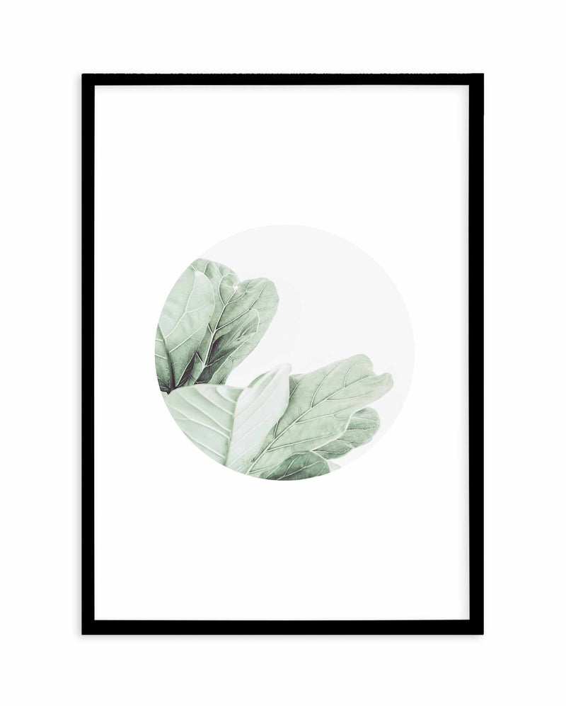 Round Fig Art Print-PRINT-Olive et Oriel-Olive et Oriel-A4 | 8.3" x 11.7" | 21 x 29.7cm-Black-With White Border-Buy-Australian-Art-Prints-Online-with-Olive-et-Oriel-Your-Artwork-Specialists-Austrailia-Decorate-With-Coastal-Photo-Wall-Art-Prints-From-Our-Beach-House-Artwork-Collection-Fine-Poster-and-Framed-Artwork
