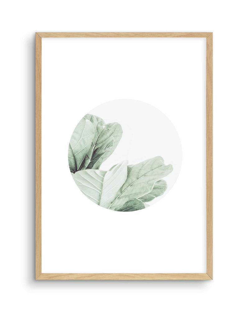 Round Fig Art Print-PRINT-Olive et Oriel-Olive et Oriel-A4 | 8.3" x 11.7" | 21 x 29.7cm-Oak-With White Border-Buy-Australian-Art-Prints-Online-with-Olive-et-Oriel-Your-Artwork-Specialists-Austrailia-Decorate-With-Coastal-Photo-Wall-Art-Prints-From-Our-Beach-House-Artwork-Collection-Fine-Poster-and-Framed-Artwork