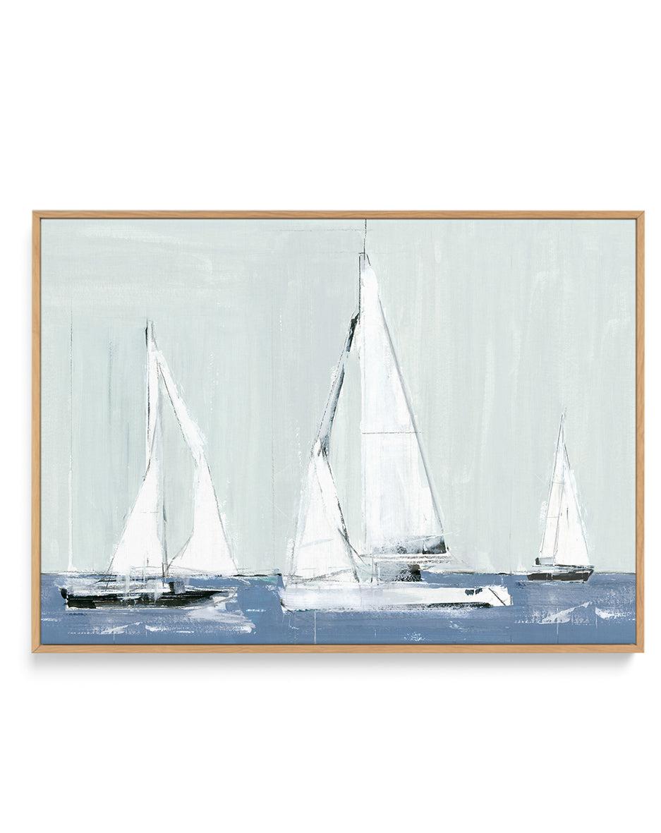 Sailing III | Framed Canvas-CANVAS-You can shop wall art online with Olive et Oriel for everything from abstract art to fun kids wall art. Our beautiful modern art prints and canvas art are available from large canvas prints to wall art paintings and our proudly Australian artwork collection offers only the highest quality framed large wall art and canvas art Australia - You can buy fashion photography prints or Hampton print posters and paintings on canvas from Olive et Oriel and have them deli