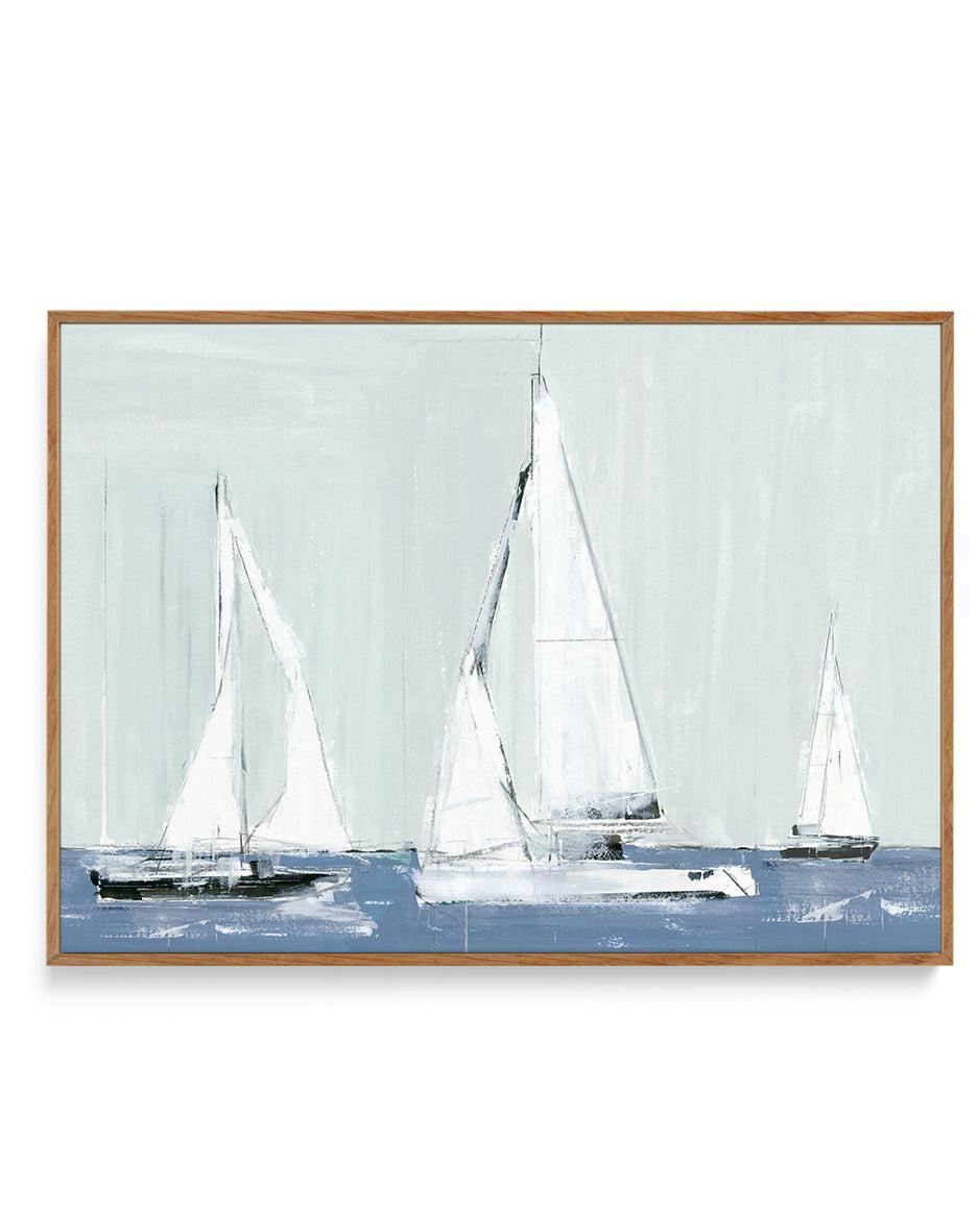 Sailing III | Framed Canvas-CANVAS-You can shop wall art online with Olive et Oriel for everything from abstract art to fun kids wall art. Our beautiful modern art prints and canvas art are available from large canvas prints to wall art paintings and our proudly Australian artwork collection offers only the highest quality framed large wall art and canvas art Australia - You can buy fashion photography prints or Hampton print posters and paintings on canvas from Olive et Oriel and have them deli