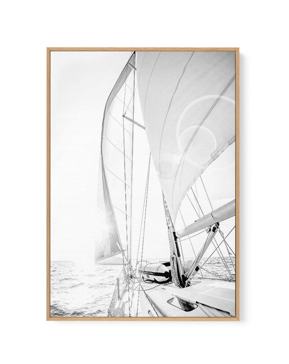 Sailing to the Sunset | Framed Canvas-CANVAS-You can shop wall art online with Olive et Oriel for everything from abstract art to fun kids wall art. Our beautiful modern art prints and canvas art are available from large canvas prints to wall art paintings and our proudly Australian artwork collection offers only the highest quality framed large wall art and canvas art Australia - You can buy fashion photography prints or Hampton print posters and paintings on canvas from Olive et Oriel and have