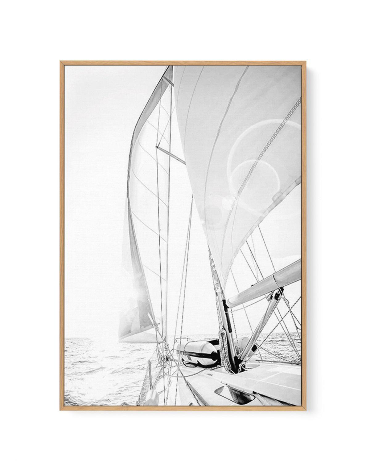 Sailing to the Sunset | Framed Canvas-CANVAS-You can shop wall art online with Olive et Oriel for everything from abstract art to fun kids wall art. Our beautiful modern art prints and canvas art are available from large canvas prints to wall art paintings and our proudly Australian artwork collection offers only the highest quality framed large wall art and canvas art Australia - You can buy fashion photography prints or Hampton print posters and paintings on canvas from Olive et Oriel and have