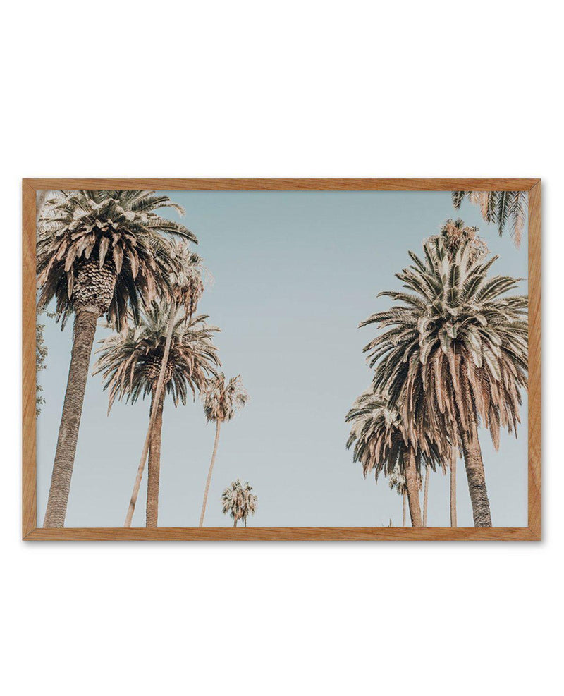 Santa Monica Palms | LS Art Print-PRINT-Olive et Oriel-Olive et Oriel-50x70 cm | 19.6" x 27.5"-Walnut-With White Border-Buy-Australian-Art-Prints-Online-with-Olive-et-Oriel-Your-Artwork-Specialists-Austrailia-Decorate-With-Coastal-Photo-Wall-Art-Prints-From-Our-Beach-House-Artwork-Collection-Fine-Poster-and-Framed-Artwork