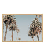 Santa Monica Palms | LS Art Print-PRINT-Olive et Oriel-Olive et Oriel-A5 | 5.8" x 8.3" | 14.8 x 21cm-Oak-With White Border-Buy-Australian-Art-Prints-Online-with-Olive-et-Oriel-Your-Artwork-Specialists-Austrailia-Decorate-With-Coastal-Photo-Wall-Art-Prints-From-Our-Beach-House-Artwork-Collection-Fine-Poster-and-Framed-Artwork