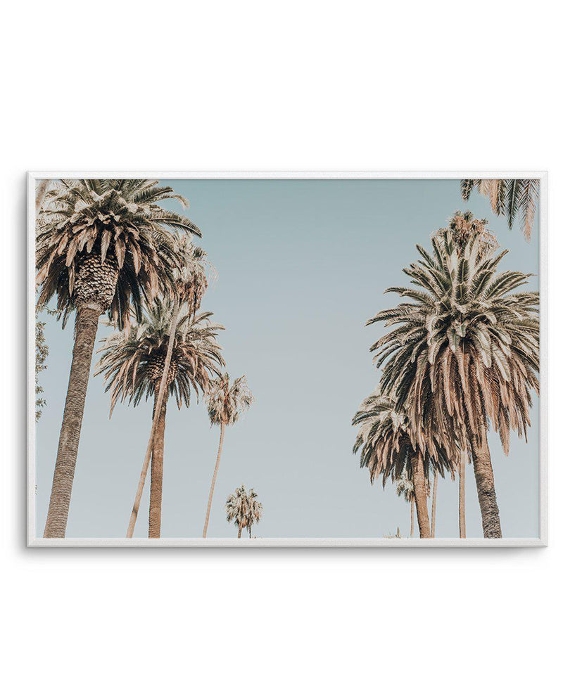 Santa Monica Palms | LS Art Print-PRINT-Olive et Oriel-Olive et Oriel-A5 | 5.8" x 8.3" | 14.8 x 21cm-Unframed Art Print-With White Border-Buy-Australian-Art-Prints-Online-with-Olive-et-Oriel-Your-Artwork-Specialists-Austrailia-Decorate-With-Coastal-Photo-Wall-Art-Prints-From-Our-Beach-House-Artwork-Collection-Fine-Poster-and-Framed-Artwork