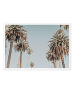 Santa Monica Palms | LS Art Print-PRINT-Olive et Oriel-Olive et Oriel-A5 | 5.8" x 8.3" | 14.8 x 21cm-White-With White Border-Buy-Australian-Art-Prints-Online-with-Olive-et-Oriel-Your-Artwork-Specialists-Austrailia-Decorate-With-Coastal-Photo-Wall-Art-Prints-From-Our-Beach-House-Artwork-Collection-Fine-Poster-and-Framed-Artwork