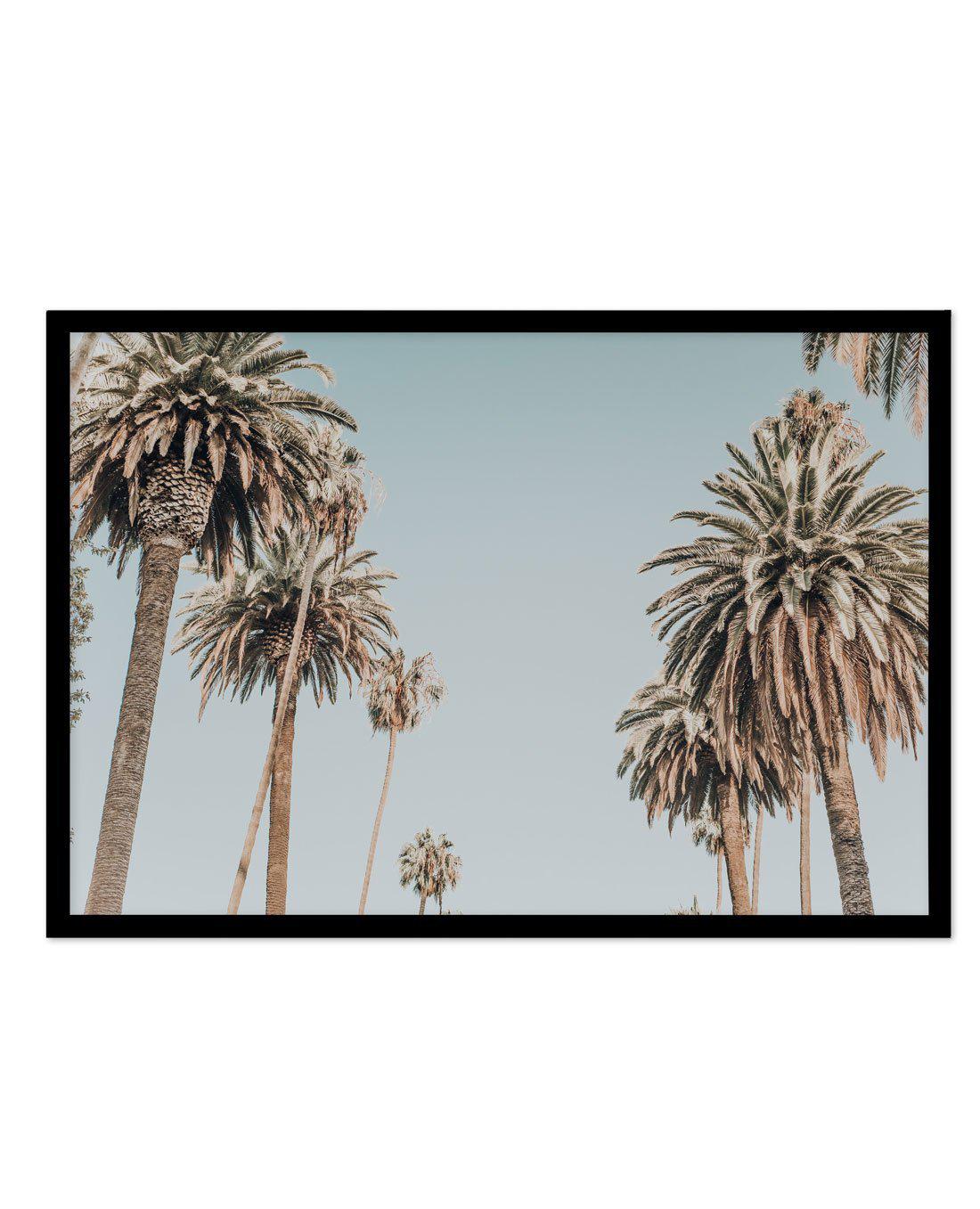 Santa Monica Palms | LS Art Print-PRINT-Olive et Oriel-Olive et Oriel-A5 | 5.8" x 8.3" | 14.8 x 21cm-Black-With White Border-Buy-Australian-Art-Prints-Online-with-Olive-et-Oriel-Your-Artwork-Specialists-Austrailia-Decorate-With-Coastal-Photo-Wall-Art-Prints-From-Our-Beach-House-Artwork-Collection-Fine-Poster-and-Framed-Artwork