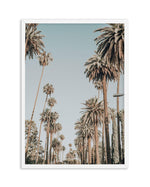 Santa Monica Palms | PT Art Print-PRINT-Olive et Oriel-Olive et Oriel-A5 | 5.8" x 8.3" | 14.8 x 21cm-White-With White Border-Buy-Australian-Art-Prints-Online-with-Olive-et-Oriel-Your-Artwork-Specialists-Austrailia-Decorate-With-Coastal-Photo-Wall-Art-Prints-From-Our-Beach-House-Artwork-Collection-Fine-Poster-and-Framed-Artwork