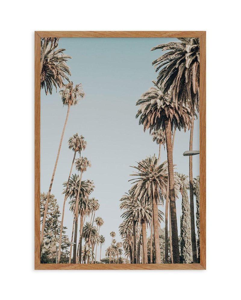 Santa Monica Palms | PT Art Print-PRINT-Olive et Oriel-Olive et Oriel-50x70 cm | 19.6" x 27.5"-Walnut-With White Border-Buy-Australian-Art-Prints-Online-with-Olive-et-Oriel-Your-Artwork-Specialists-Austrailia-Decorate-With-Coastal-Photo-Wall-Art-Prints-From-Our-Beach-House-Artwork-Collection-Fine-Poster-and-Framed-Artwork