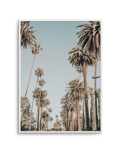 Santa Monica Palms | PT Art Print-PRINT-Olive et Oriel-Olive et Oriel-A5 | 5.8" x 8.3" | 14.8 x 21cm-Unframed Art Print-With White Border-Buy-Australian-Art-Prints-Online-with-Olive-et-Oriel-Your-Artwork-Specialists-Austrailia-Decorate-With-Coastal-Photo-Wall-Art-Prints-From-Our-Beach-House-Artwork-Collection-Fine-Poster-and-Framed-Artwork
