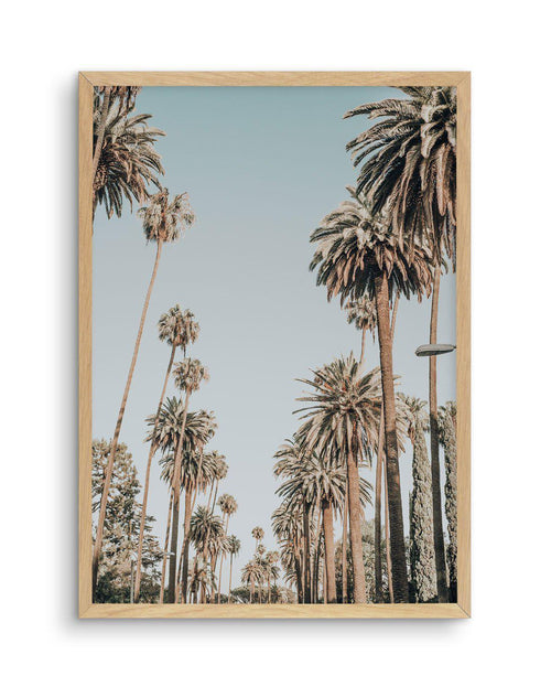 Santa Monica Palms | PT Art Print-PRINT-Olive et Oriel-Olive et Oriel-A5 | 5.8" x 8.3" | 14.8 x 21cm-Oak-With White Border-Buy-Australian-Art-Prints-Online-with-Olive-et-Oriel-Your-Artwork-Specialists-Austrailia-Decorate-With-Coastal-Photo-Wall-Art-Prints-From-Our-Beach-House-Artwork-Collection-Fine-Poster-and-Framed-Artwork