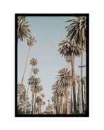 Santa Monica Palms | PT Art Print-PRINT-Olive et Oriel-Olive et Oriel-A5 | 5.8" x 8.3" | 14.8 x 21cm-Black-With White Border-Buy-Australian-Art-Prints-Online-with-Olive-et-Oriel-Your-Artwork-Specialists-Austrailia-Decorate-With-Coastal-Photo-Wall-Art-Prints-From-Our-Beach-House-Artwork-Collection-Fine-Poster-and-Framed-Artwork