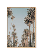 Santa Monica Palms | PT | Framed Canvas-CANVAS-You can shop wall art online with Olive et Oriel for everything from abstract art to fun kids wall art. Our beautiful modern art prints and canvas art are available from large canvas prints to wall art paintings and our proudly Australian artwork collection offers only the highest quality framed large wall art and canvas art Australia - You can buy fashion photography prints or Hampton print posters and paintings on canvas from Olive et Oriel and ha