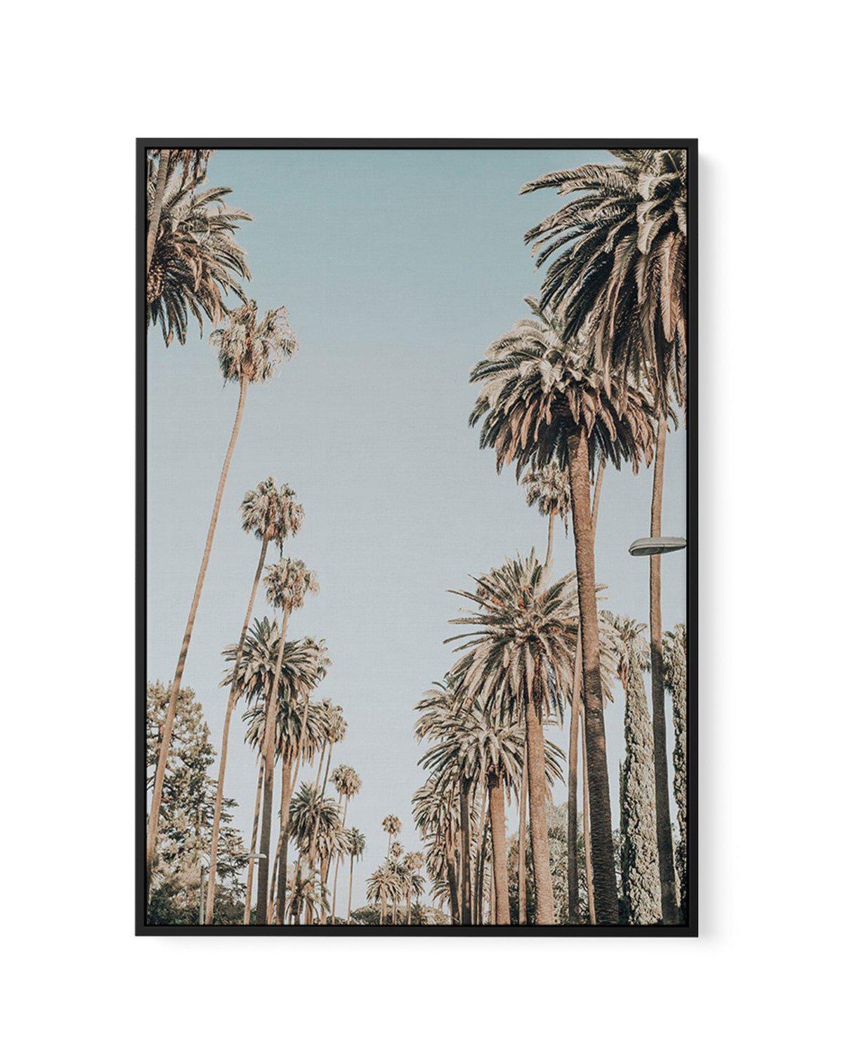 Santa Monica Palms | PT | Framed Canvas-CANVAS-You can shop wall art online with Olive et Oriel for everything from abstract art to fun kids wall art. Our beautiful modern art prints and canvas art are available from large canvas prints to wall art paintings and our proudly Australian artwork collection offers only the highest quality framed large wall art and canvas art Australia - You can buy fashion photography prints or Hampton print posters and paintings on canvas from Olive et Oriel and ha