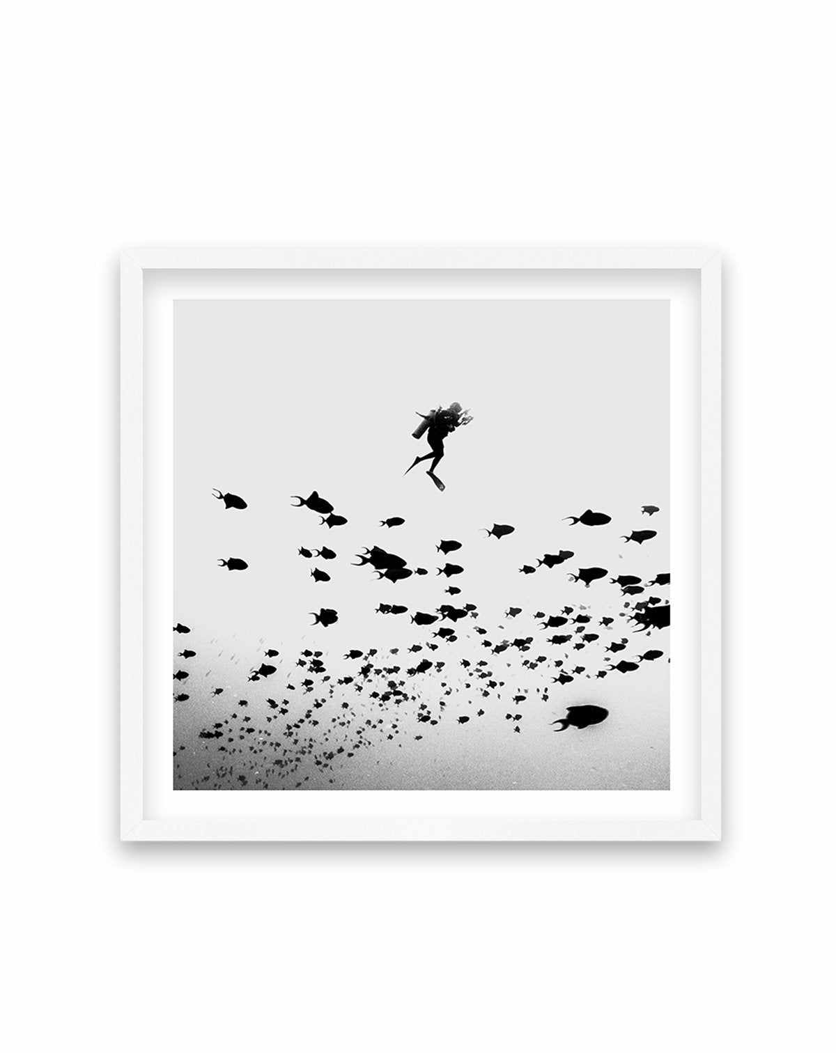 Scuba I | SQ Art Print-PRINT-Olive et Oriel-Olive et Oriel-70x70 cm | 27.5" x 27.5"-White-With White Border-Buy-Australian-Art-Prints-Online-with-Olive-et-Oriel-Your-Artwork-Specialists-Austrailia-Decorate-With-Coastal-Photo-Wall-Art-Prints-From-Our-Beach-House-Artwork-Collection-Fine-Poster-and-Framed-Artwork