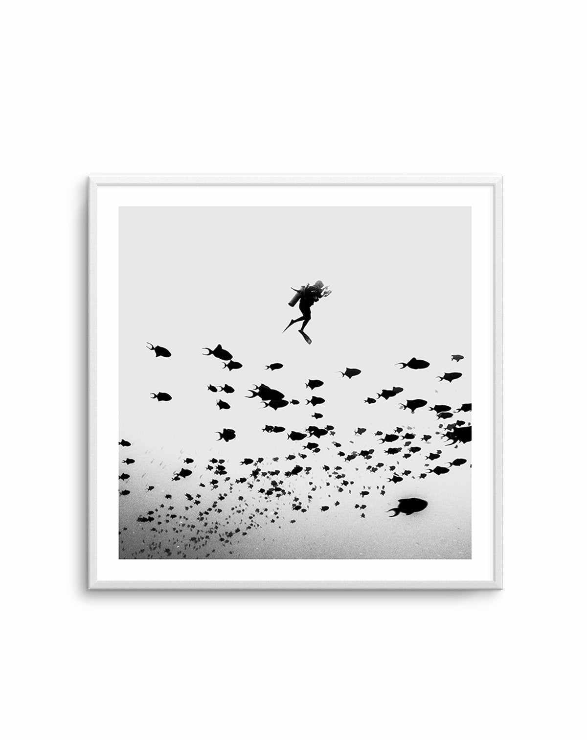 Scuba I | SQ Art Print-PRINT-Olive et Oriel-Olive et Oriel-Buy-Australian-Art-Prints-Online-with-Olive-et-Oriel-Your-Artwork-Specialists-Austrailia-Decorate-With-Coastal-Photo-Wall-Art-Prints-From-Our-Beach-House-Artwork-Collection-Fine-Poster-and-Framed-Artwork