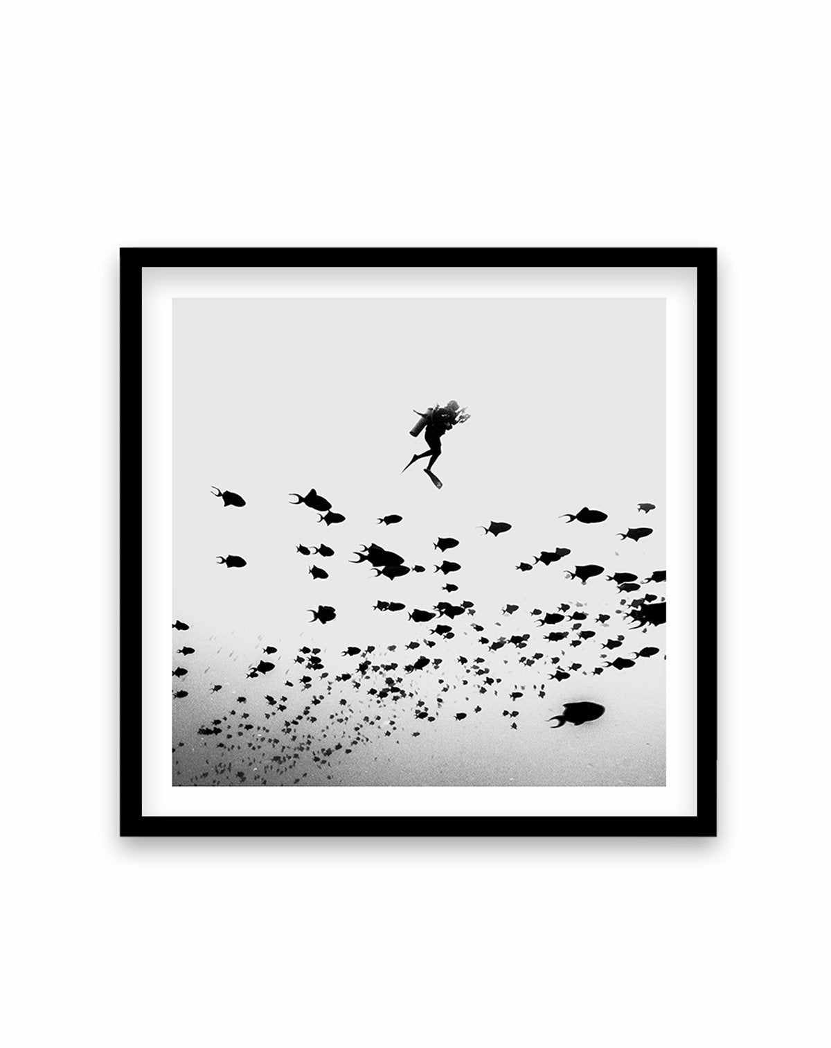 Scuba I | SQ Art Print-PRINT-Olive et Oriel-Olive et Oriel-70x70 cm | 27.5" x 27.5"-Black-With White Border-Buy-Australian-Art-Prints-Online-with-Olive-et-Oriel-Your-Artwork-Specialists-Austrailia-Decorate-With-Coastal-Photo-Wall-Art-Prints-From-Our-Beach-House-Artwork-Collection-Fine-Poster-and-Framed-Artwork