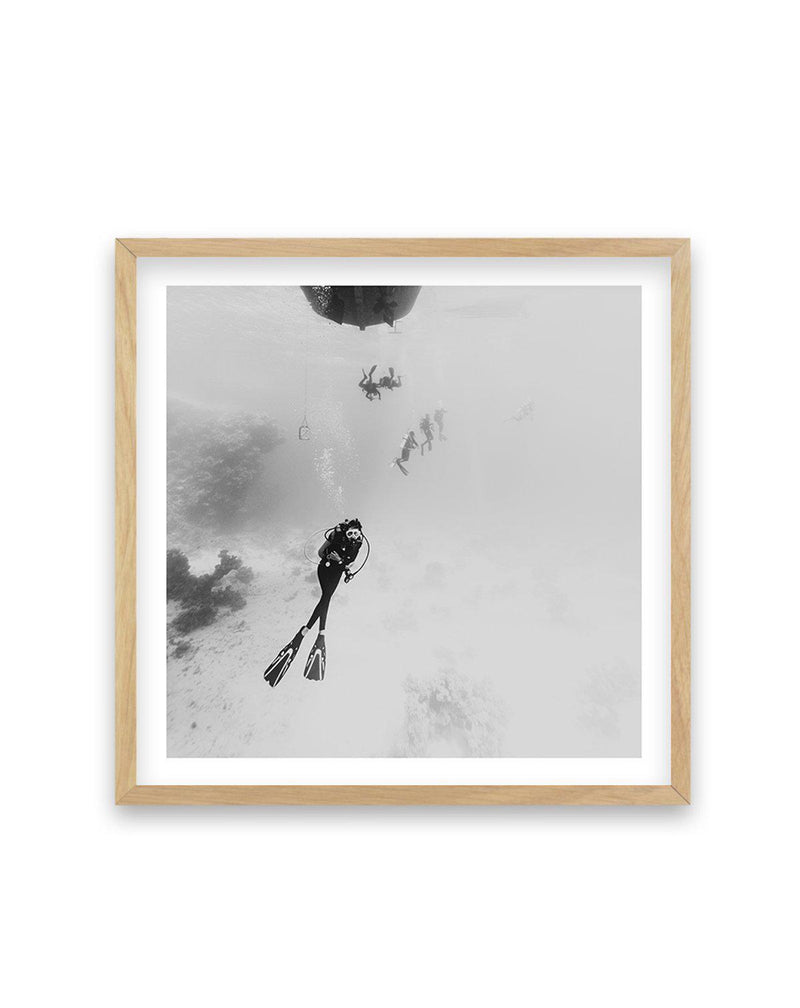 Scuba II | SQ Art Print-PRINT-Olive et Oriel-Olive et Oriel-70x70 cm | 27.5" x 27.5"-Oak-With White Border-Buy-Australian-Art-Prints-Online-with-Olive-et-Oriel-Your-Artwork-Specialists-Austrailia-Decorate-With-Coastal-Photo-Wall-Art-Prints-From-Our-Beach-House-Artwork-Collection-Fine-Poster-and-Framed-Artwork