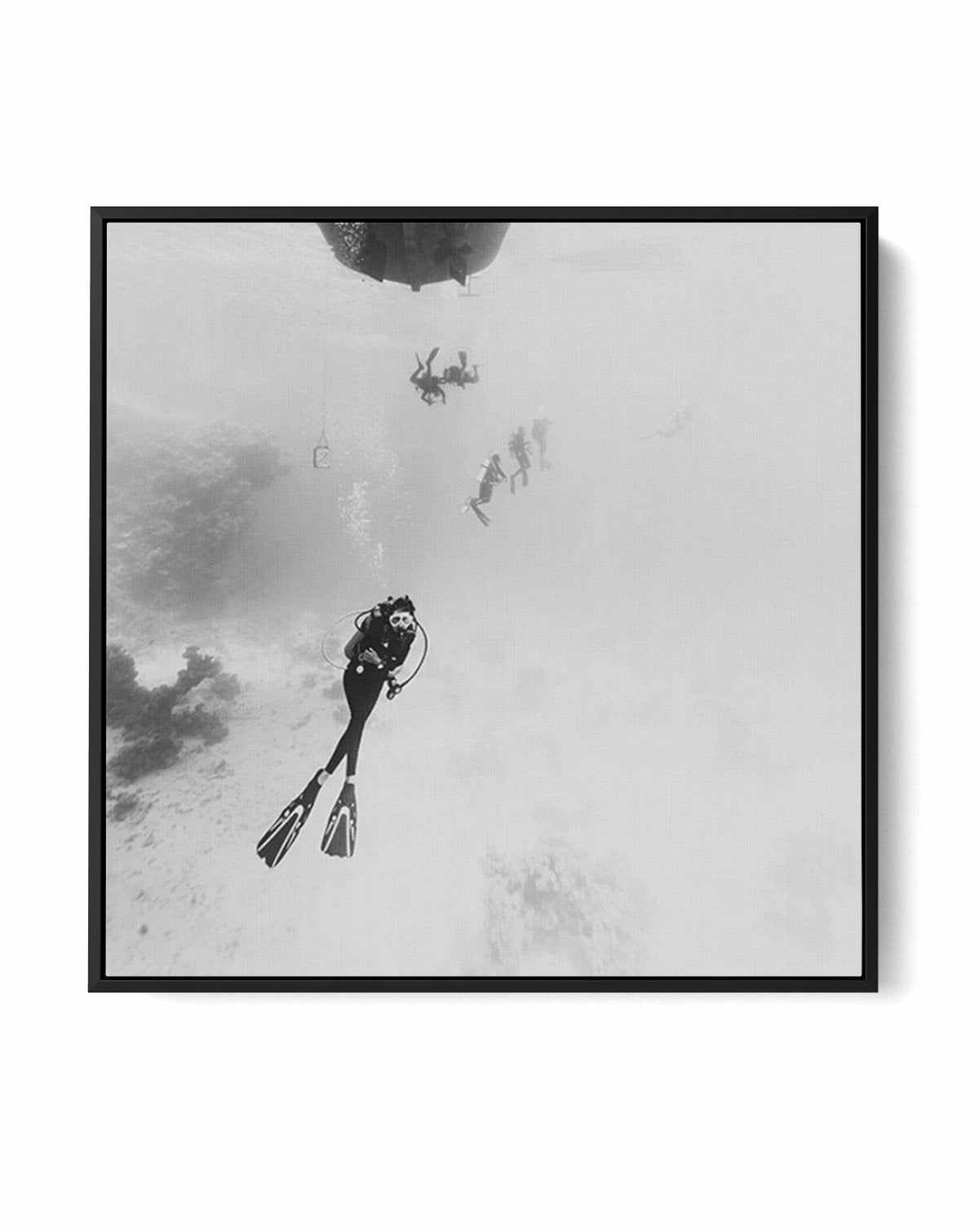 Scuba II SQ | Framed Canvas-CANVAS-You can shop wall art online with Olive et Oriel for everything from abstract art to fun kids wall art. Our beautiful modern art prints and canvas art are available from large canvas prints to wall art paintings and our proudly Australian artwork collection offers only the highest quality framed large wall art and canvas art Australia - You can buy fashion photography prints or Hampton print posters and paintings on canvas from Olive et Oriel and have them deli