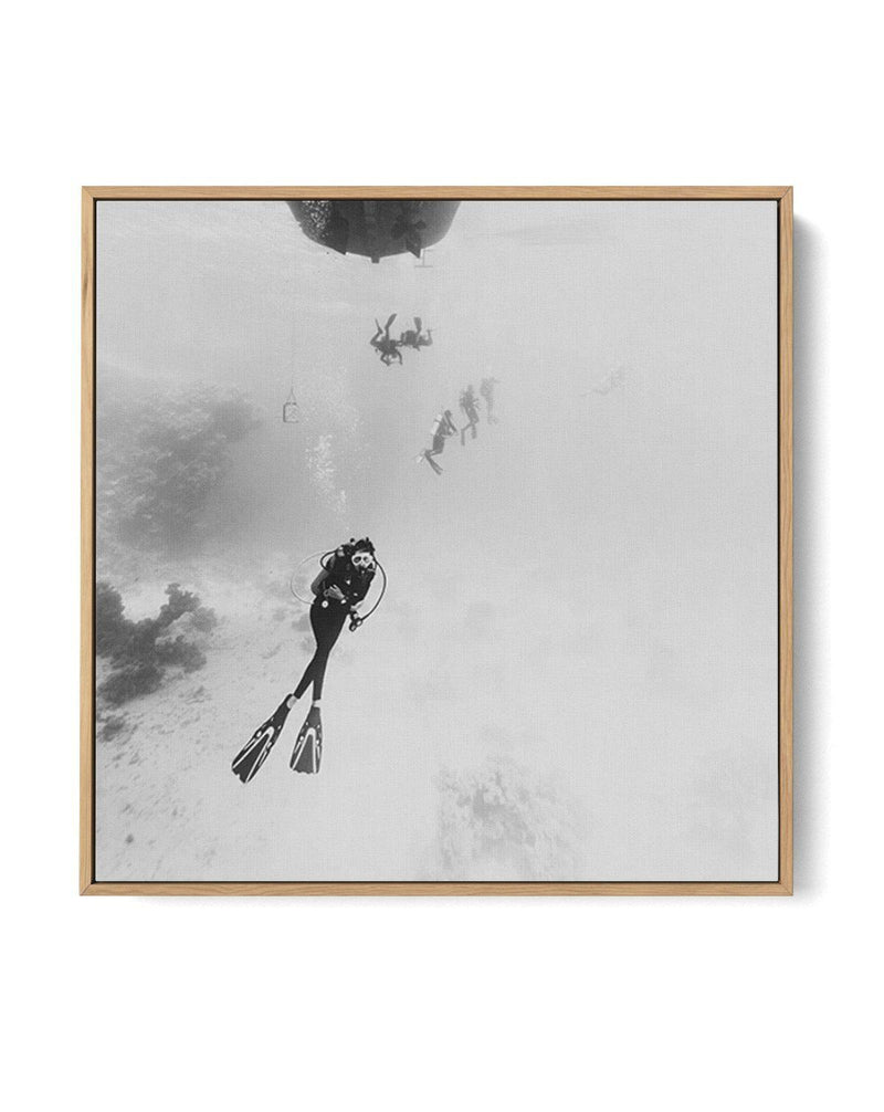 Scuba II SQ | Framed Canvas-CANVAS-You can shop wall art online with Olive et Oriel for everything from abstract art to fun kids wall art. Our beautiful modern art prints and canvas art are available from large canvas prints to wall art paintings and our proudly Australian artwork collection offers only the highest quality framed large wall art and canvas art Australia - You can buy fashion photography prints or Hampton print posters and paintings on canvas from Olive et Oriel and have them deli